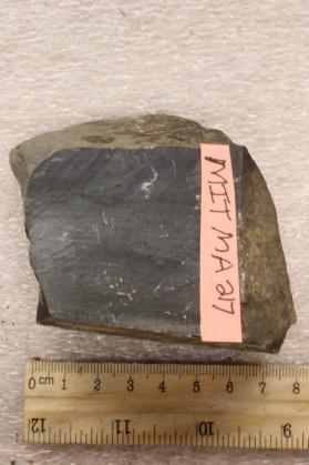 Meta-Argillaceous Sediment