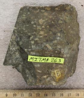 Porphyritic Dike