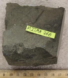 Pilotaxitic Basalt