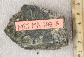 Black Inclusion in Dedham Granodiorite