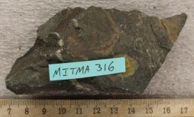 Plagioclase-Amphibolite