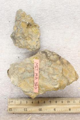 Conglomerate