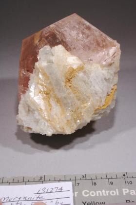 Morganite with Albite
