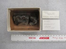 Jordanite with CALCITE and Pyrite and Schalenblende
