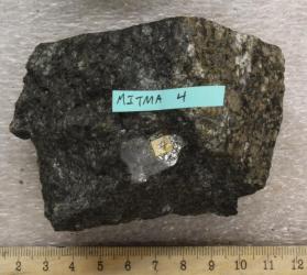 Nahant Gabbro