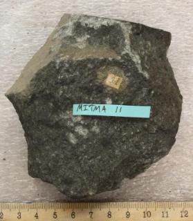 Dike in Nahant Gabbro