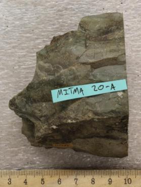 Weymouth Formation Argillite