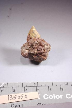 Betafite