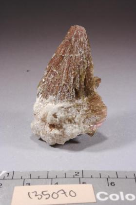 Clinozoisite