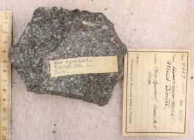 Altered Diotite