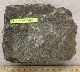 Gabbrodiorite