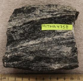 Gneissoid Andover Granite