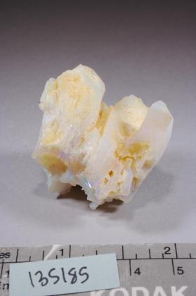 OPAL