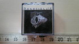 Barbosalite