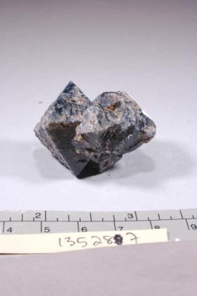 SPINEL
