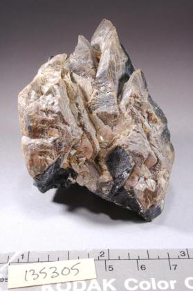 Tapiolite Series