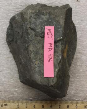 Siltstone in Volcanics, Brighton