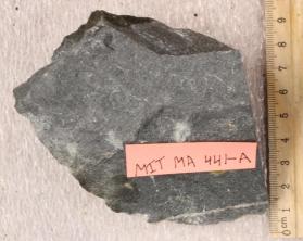 Conglomerate, Roxbury Formation