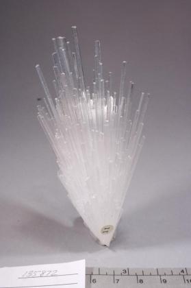 SCOLECITE