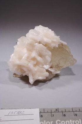 Stilbite