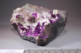 Sugilite