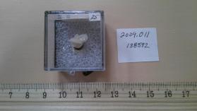 Bertrandite