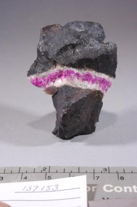 Sugilite