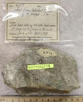 Metaharzburgite