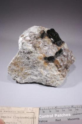 lepidomelane