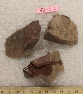 Siltstone Shale