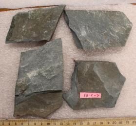 Siltstone Shale