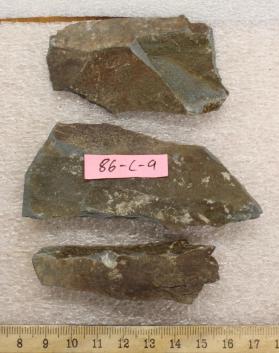Shale