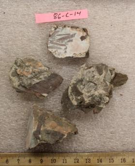 Conglomeritic Sparry Calcite