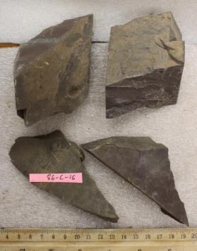 Siltstone