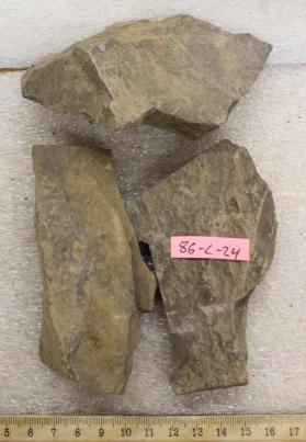 Siltstone