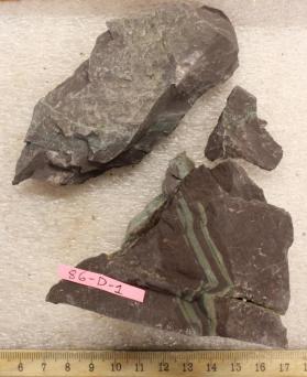 Siltstone
