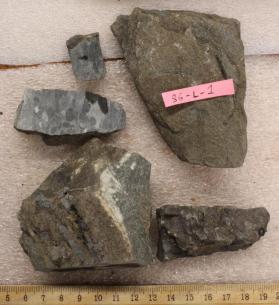 Phospho-Nodular Sandstone