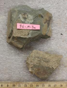 Shale