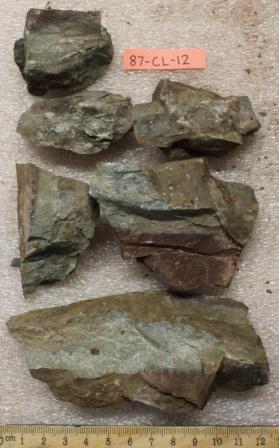 Shale