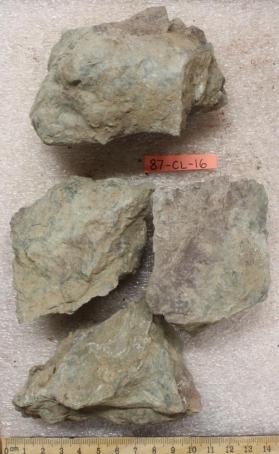 Shale