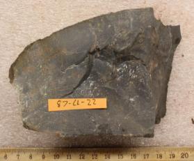 Limestone