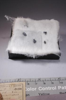 Tellurium