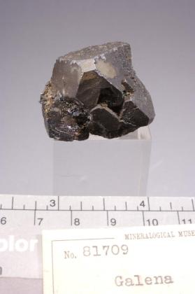 Galena