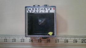 Carbonate Apatite