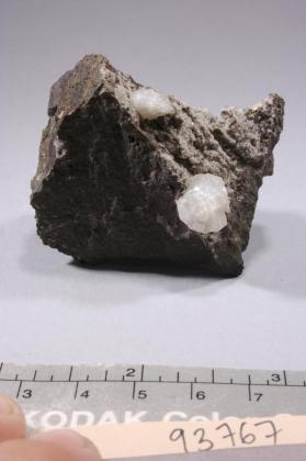 phacolite
