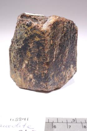 STAUROLITE with Muscovite