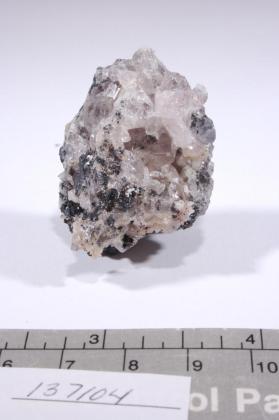 Mozartite
