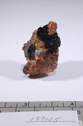 Mozartite