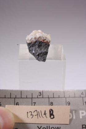 Poldervaartite