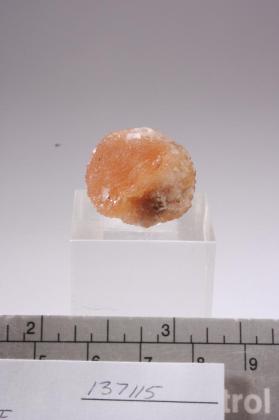 Poldervaartite